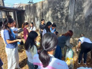 ACES Corner | Bamboo Propagation with JJC