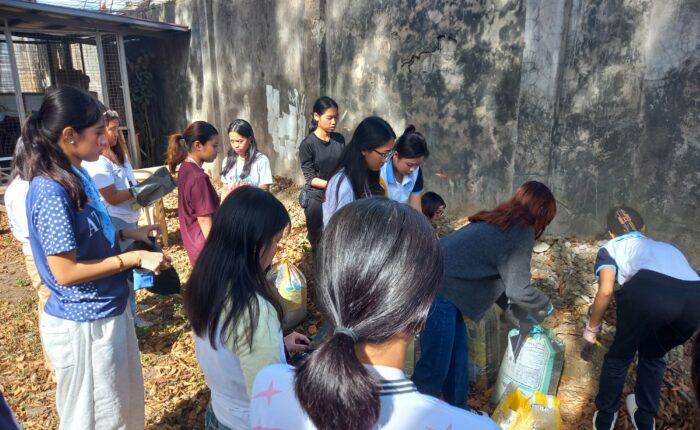 ACES Corner | Bamboo Propagation with JJC