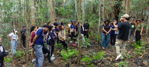ACES Corner | Tree Growing Activity with the Senior High School Unit